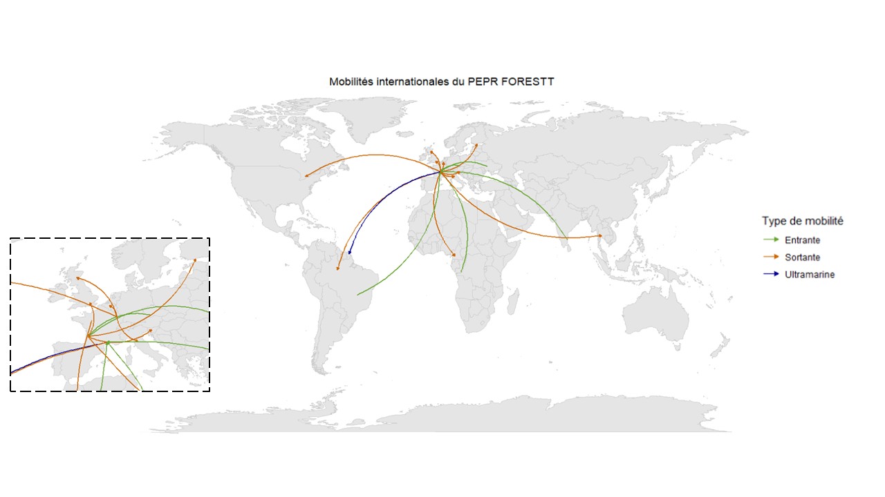 2025_06_06_Carte_mobi_FORESTT.jpg 2025_06_06_Carte_mobi_FORESTT.jpg