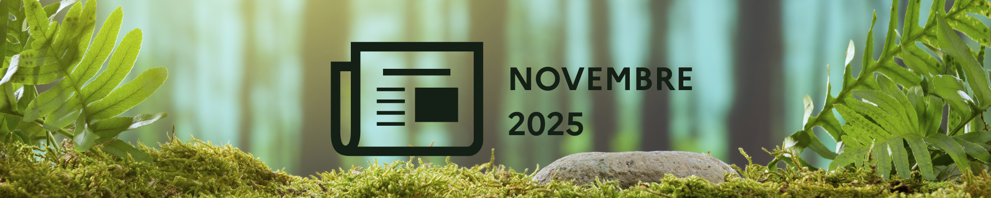 Bannière site - Actus 2025.png