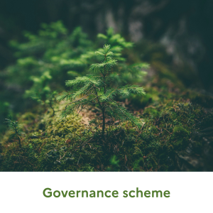 Governance_scheme_ENG.png
