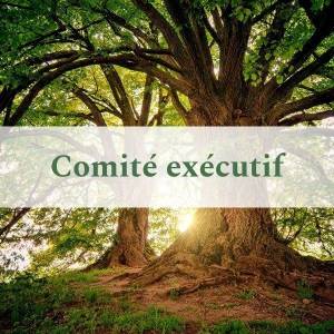 Comité exécutif