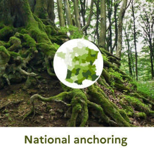 ENG_National_Anchoring.png