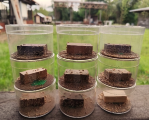 Kévin Candelier en mobilité en Guyane (2) Kévin Candelier en mobilité en Guyane (2)